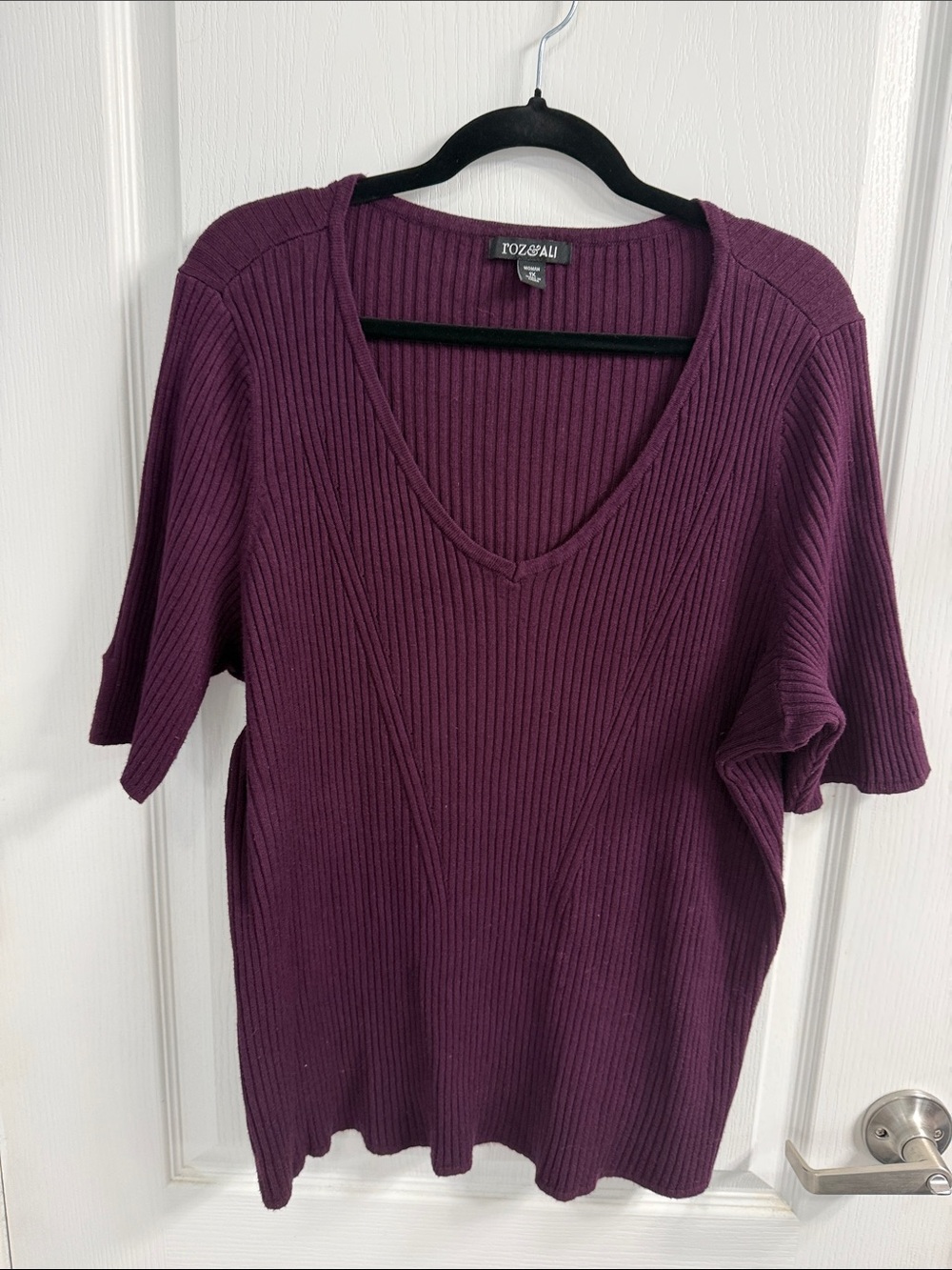 Roz & Ali Deep Plum Ribbed V-Neck Short Sleeve Top Everyday Essential